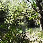 Gulbenkian Park Lisboa