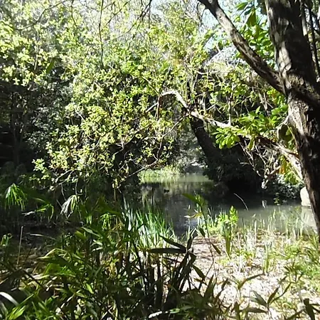 Gulbenkian Park Lissabon